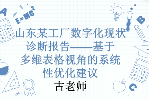 山东某工厂数字化现状诊断报告