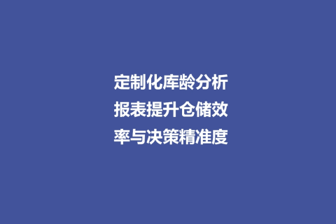 定制化库龄分析报表提升仓储效率与决策精准度 - 4