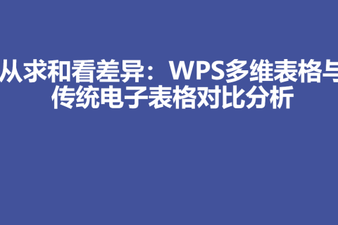 从求和看差异：WPS多维表格与传统电子表格对比分析