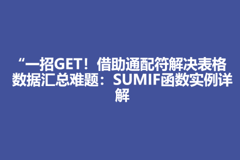 “一招GET！借助通配符解决表格数据汇总难题：SUMIF函数实例详解