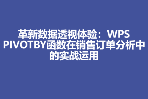 革新数据透视体验：WPS PIVOTBY函数在销售订单分析中的实战运用