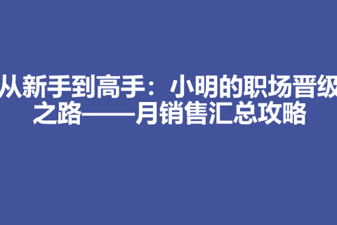 从新手到高手：小明的职场晋级之路——月销售汇总攻略