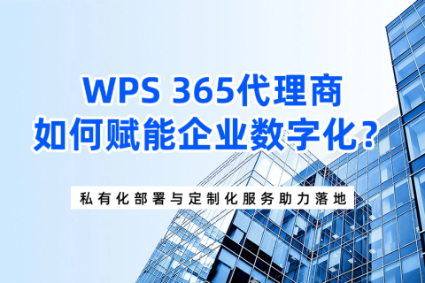 WPS 365代理商如何赋能企业数字化？私有化部署与定制化服务助力落地