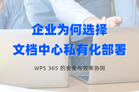 企业为何选择文档中心私有化部署？WPS 365的安全与效率协同
